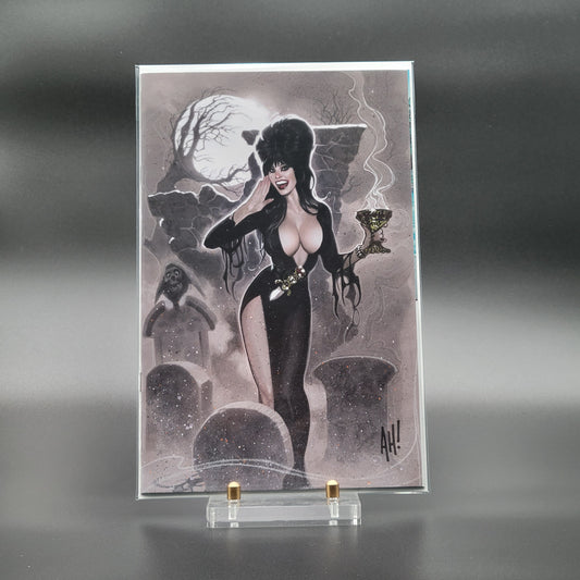 Elvira Meets H.P. Lovecraft Adam Hughes Virgin Variant