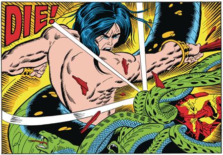 Conan Ultimate Fan Bundle - Scourge of the Serpent 3